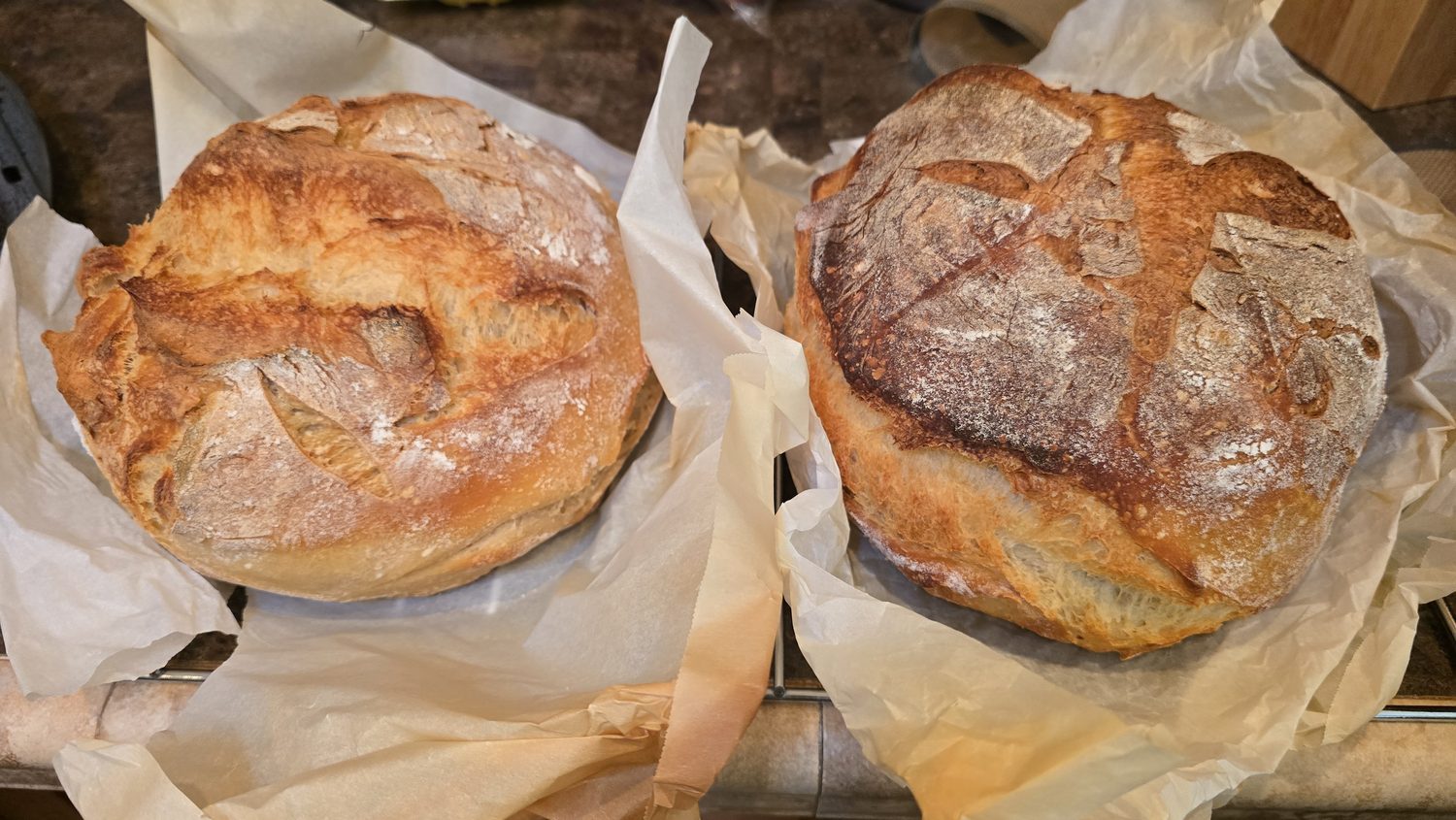 A scored sourdough loaf, baked and cooling