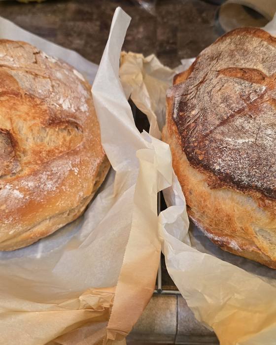 A scored sourdough loaf, baked and cooling