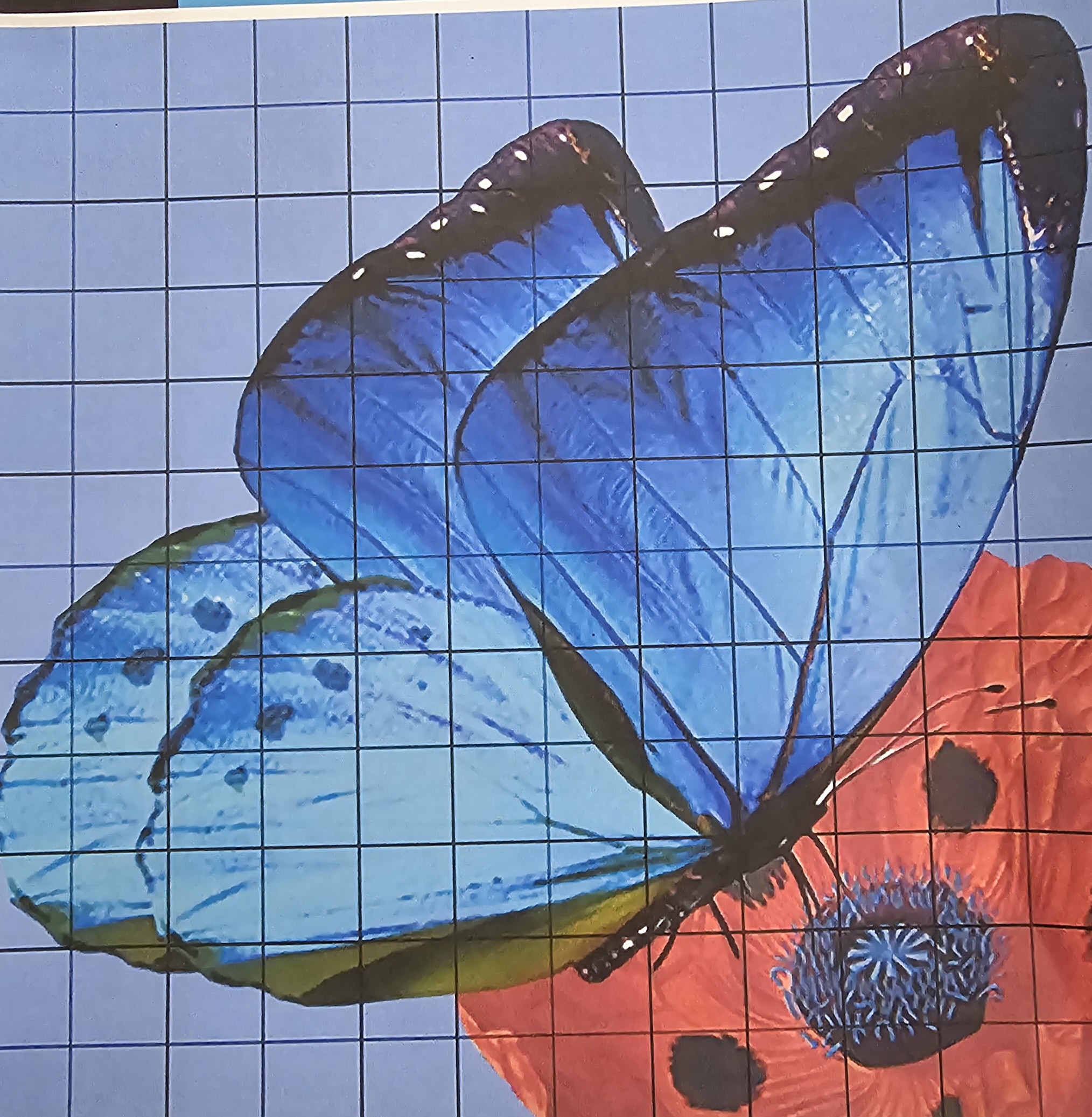 Painting · Review photo 2