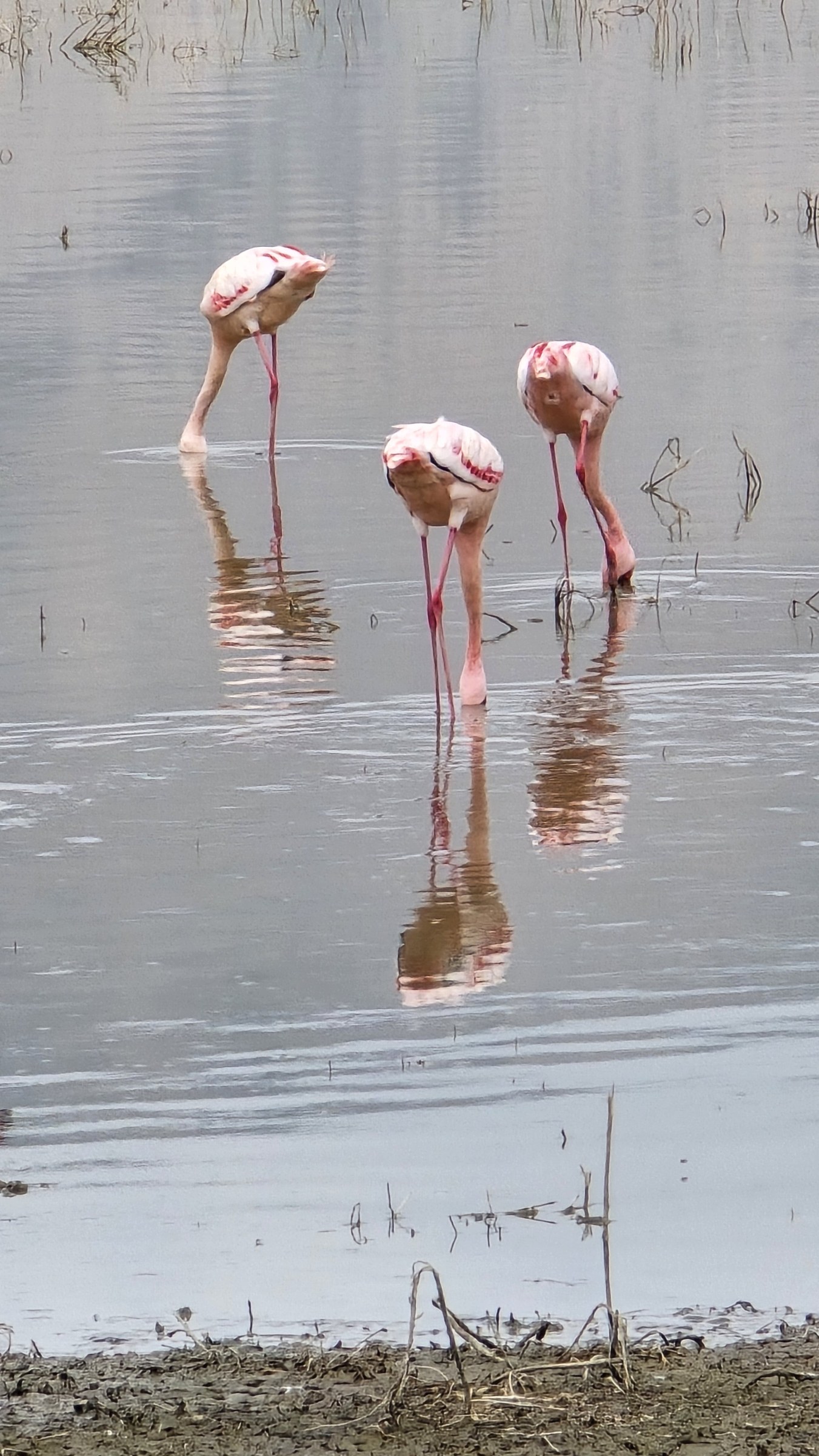 Africa · Review photo 21