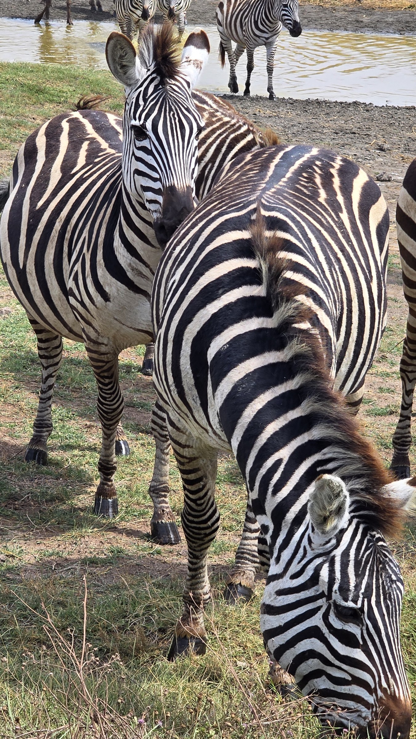 Africa · Review photo 17