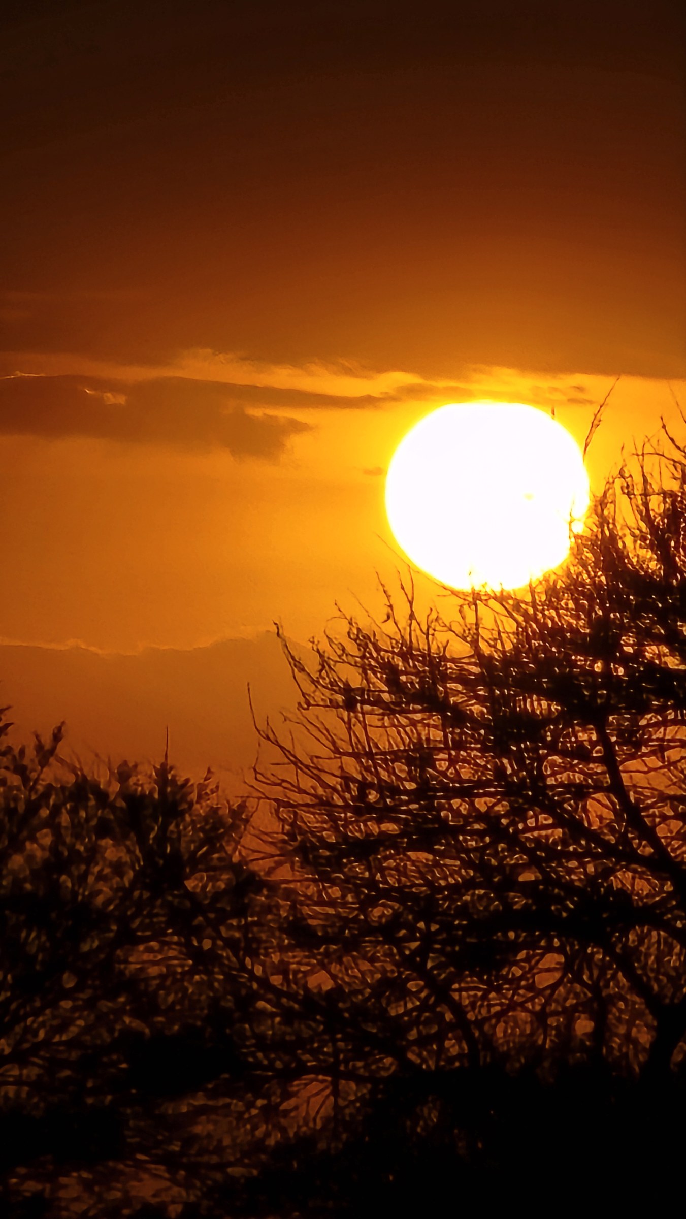Africa · Review photo 36
