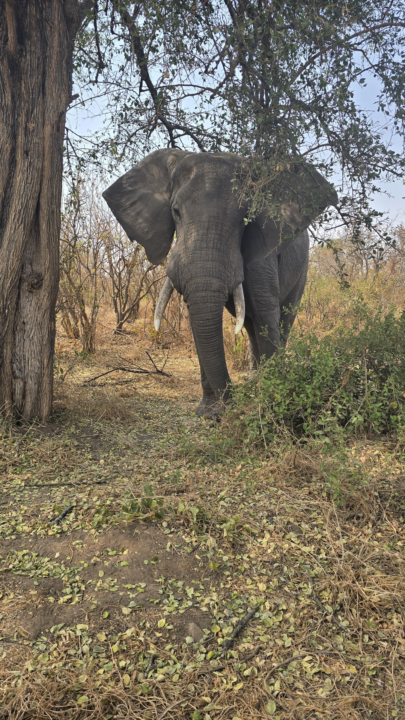 Africa · Review photo 13