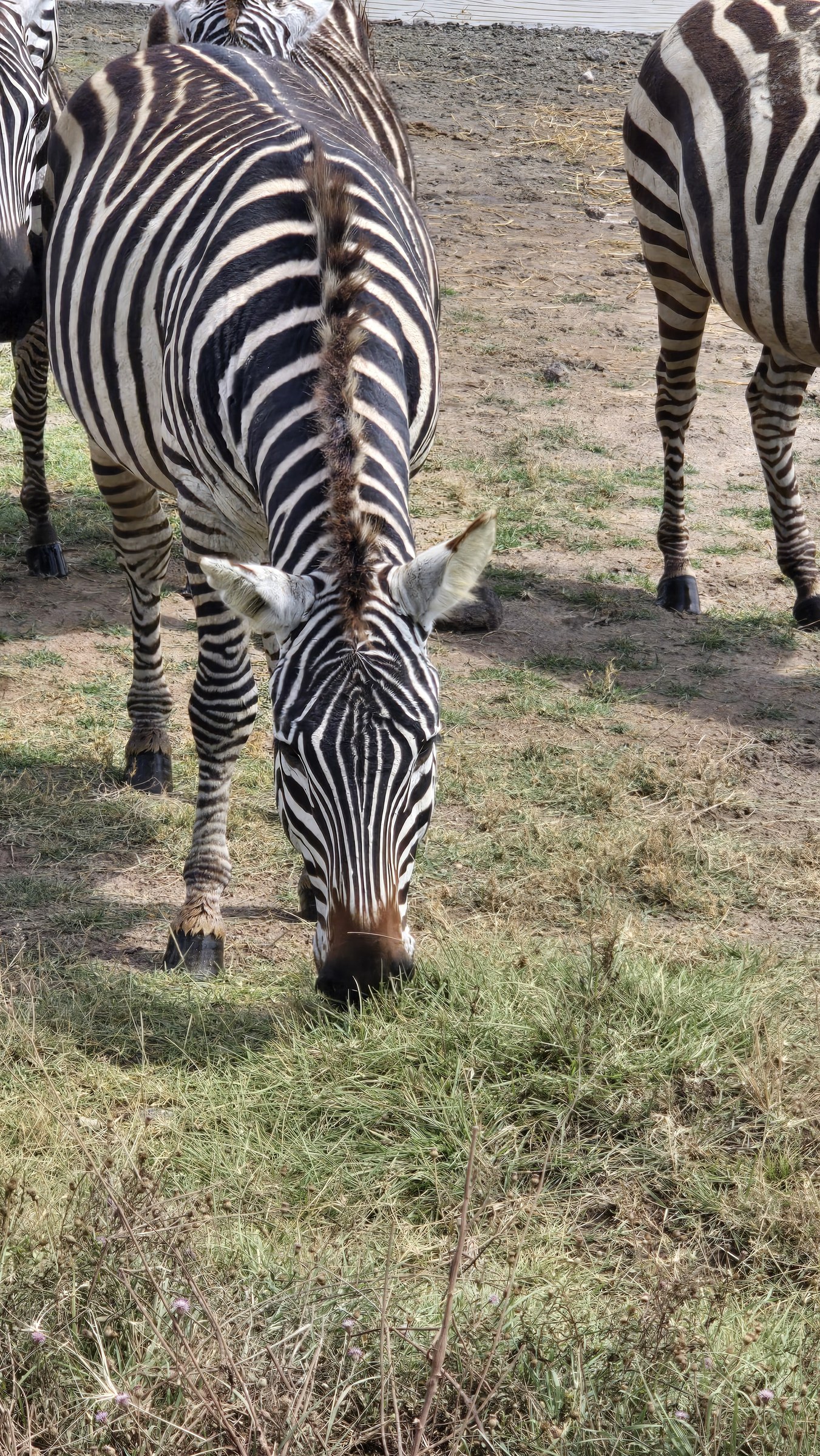 Africa · Review photo 16