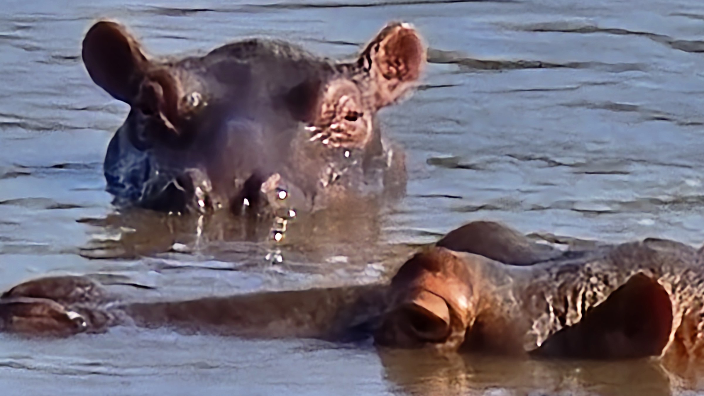 Africa · Review photo 34