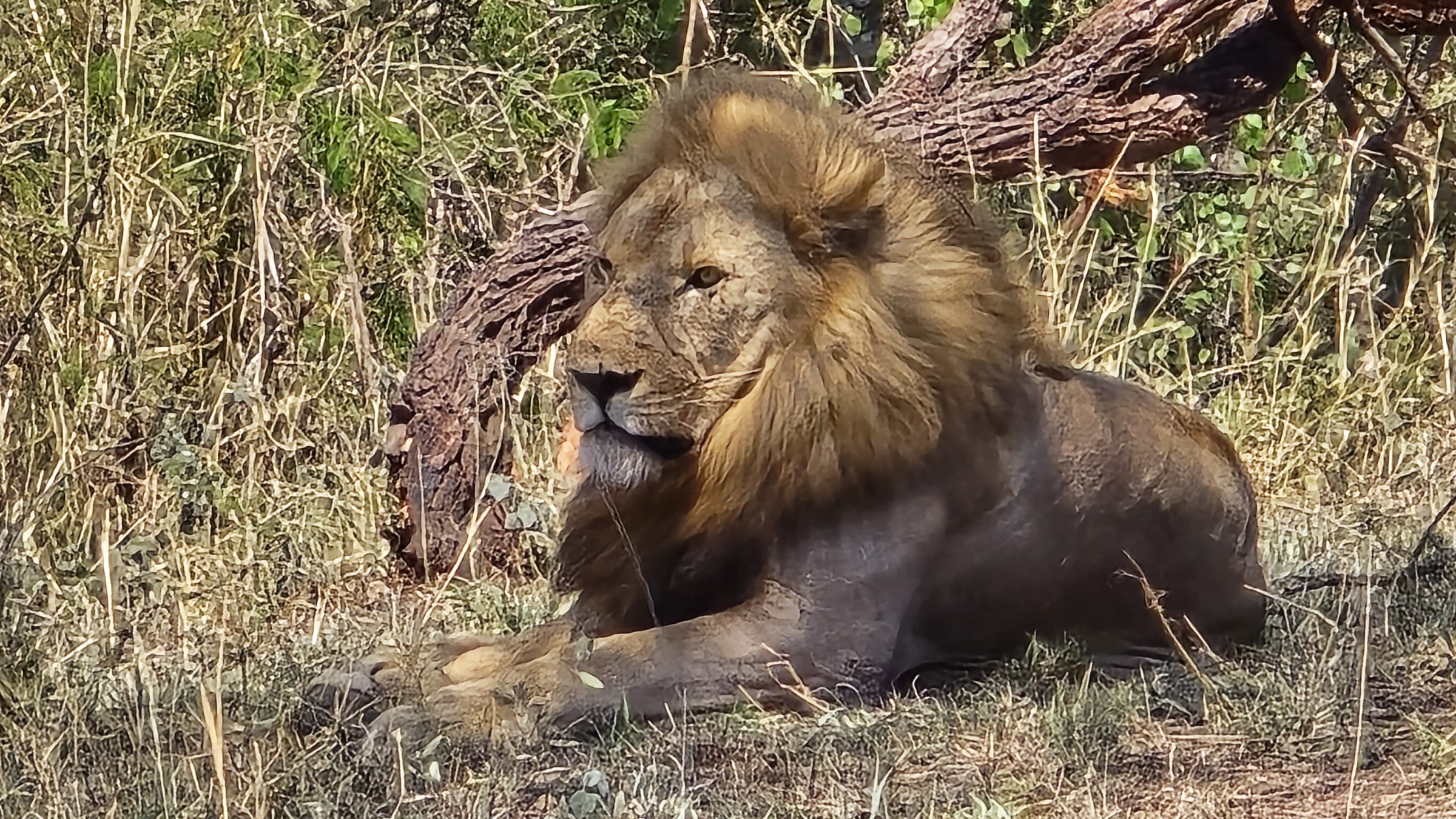 Africa · Review photo 35
