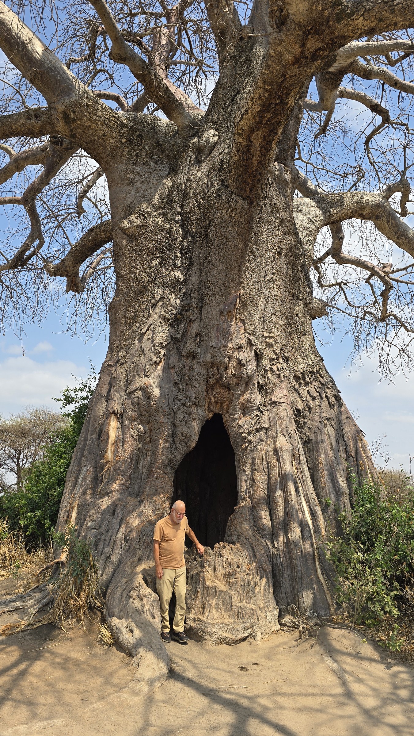 Africa · Review photo 11