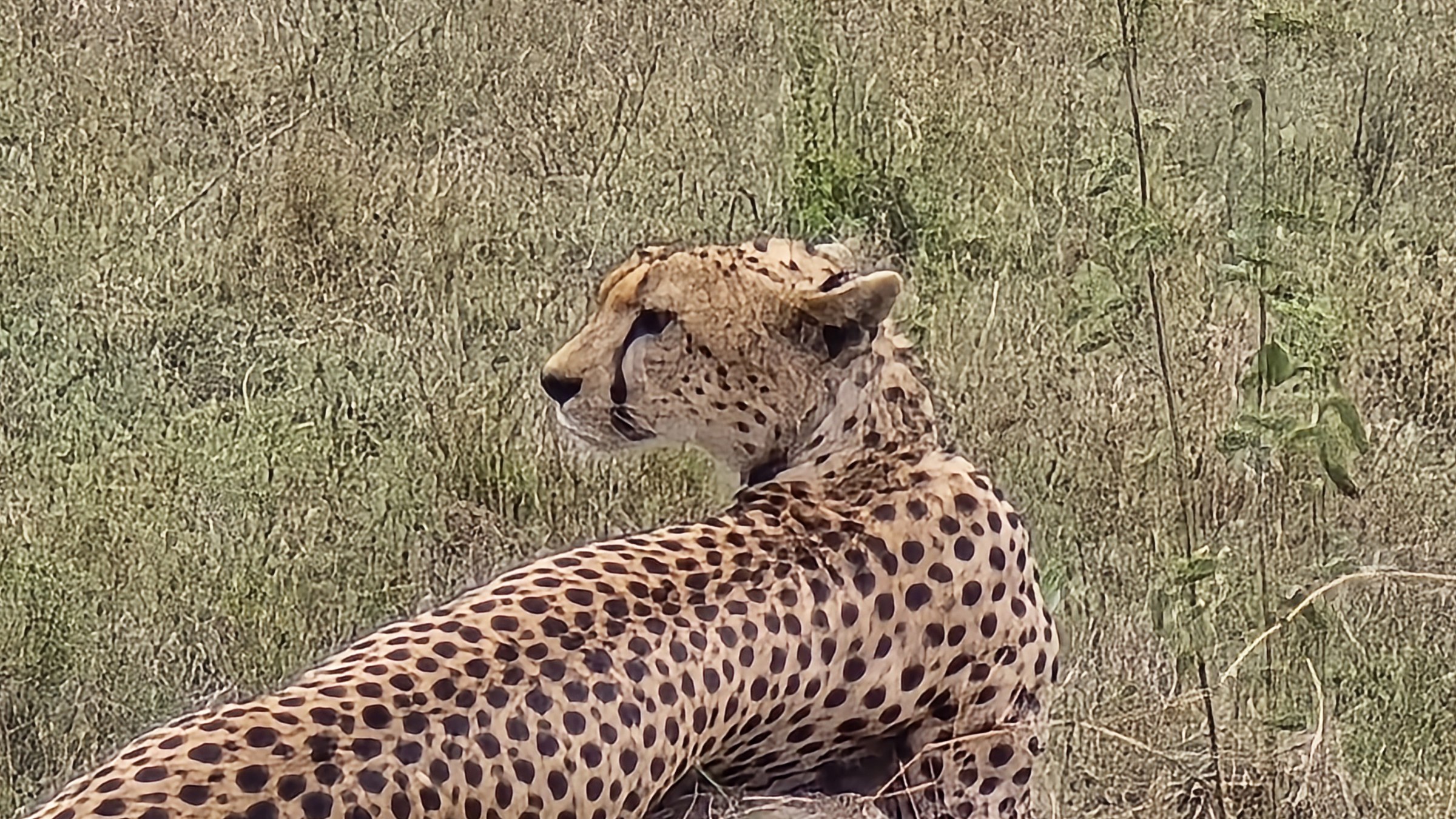 Africa · Review photo 38