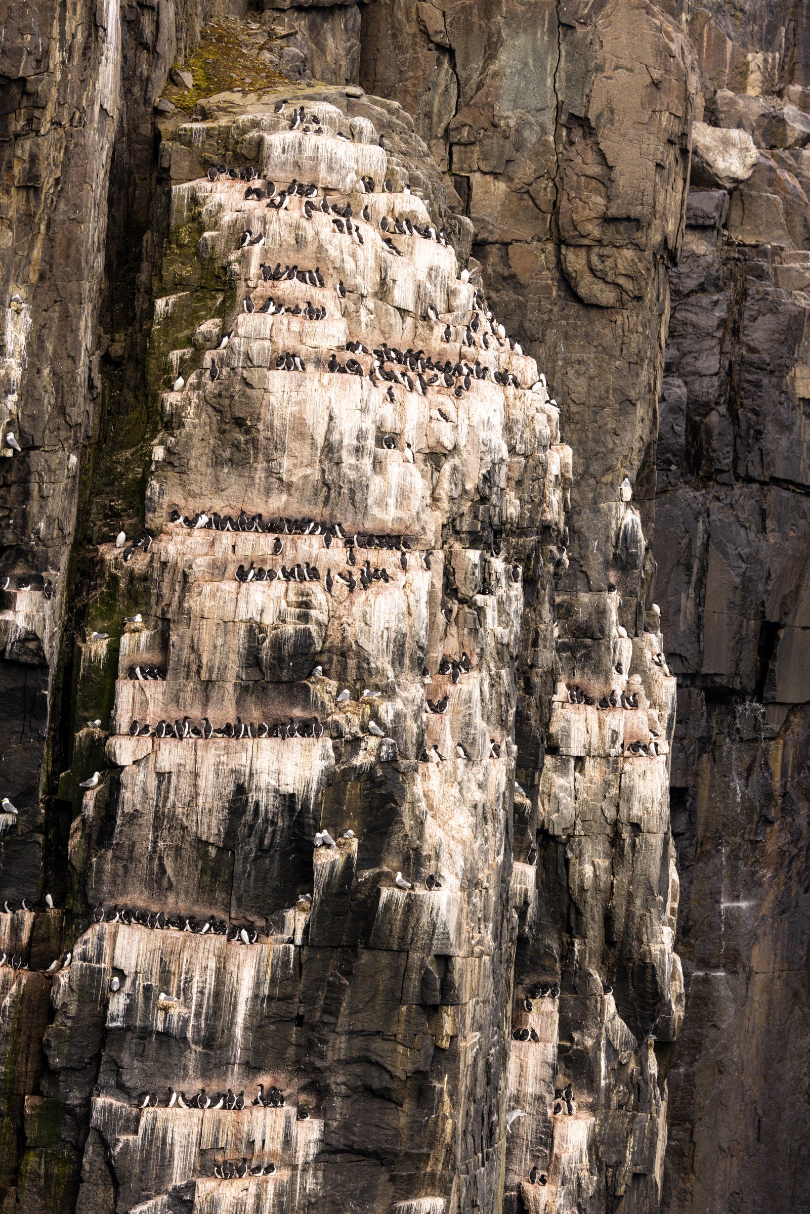 Arctic · Review photo 38