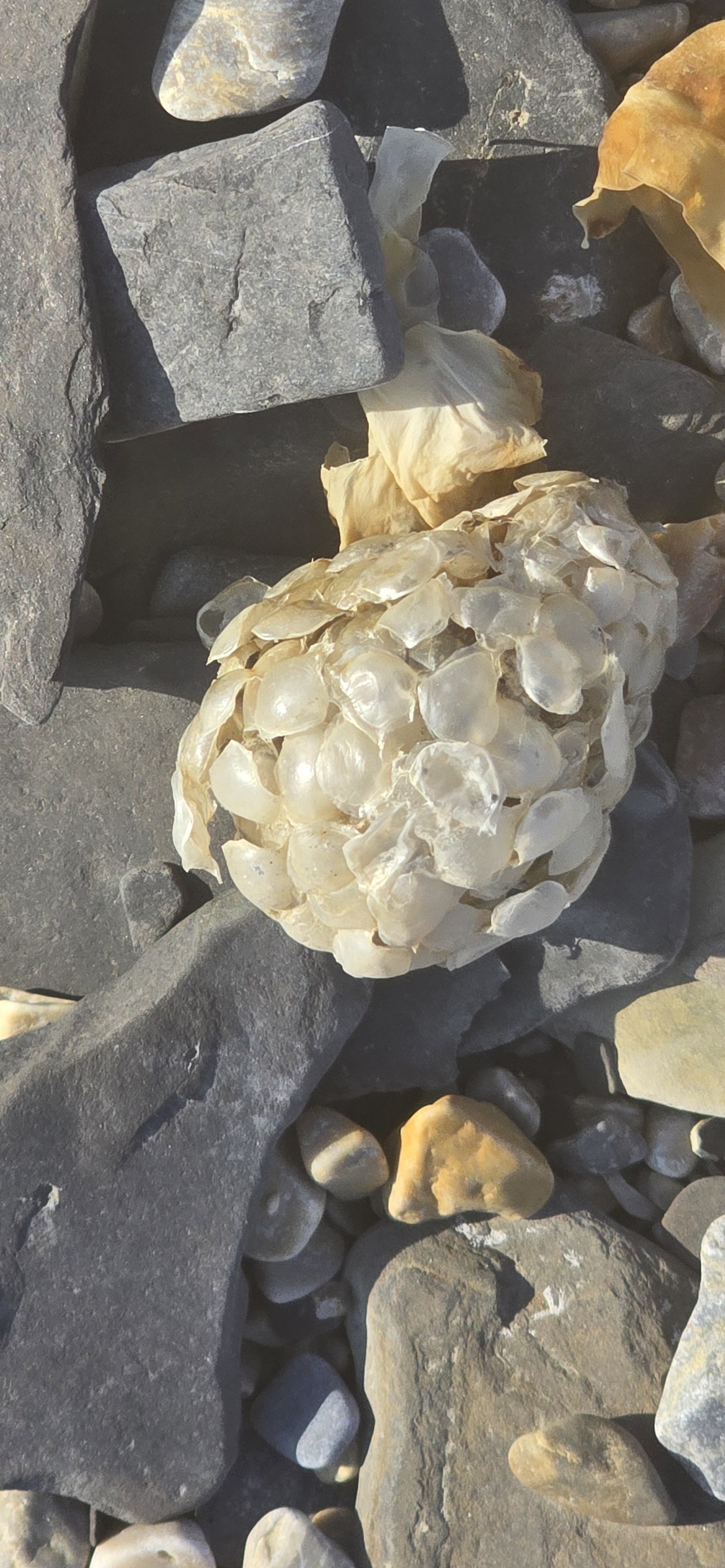 Arctic · Review photo 19