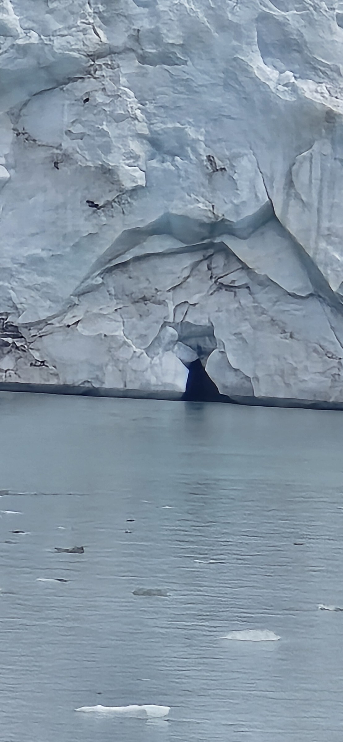 Arctic · Review photo 22