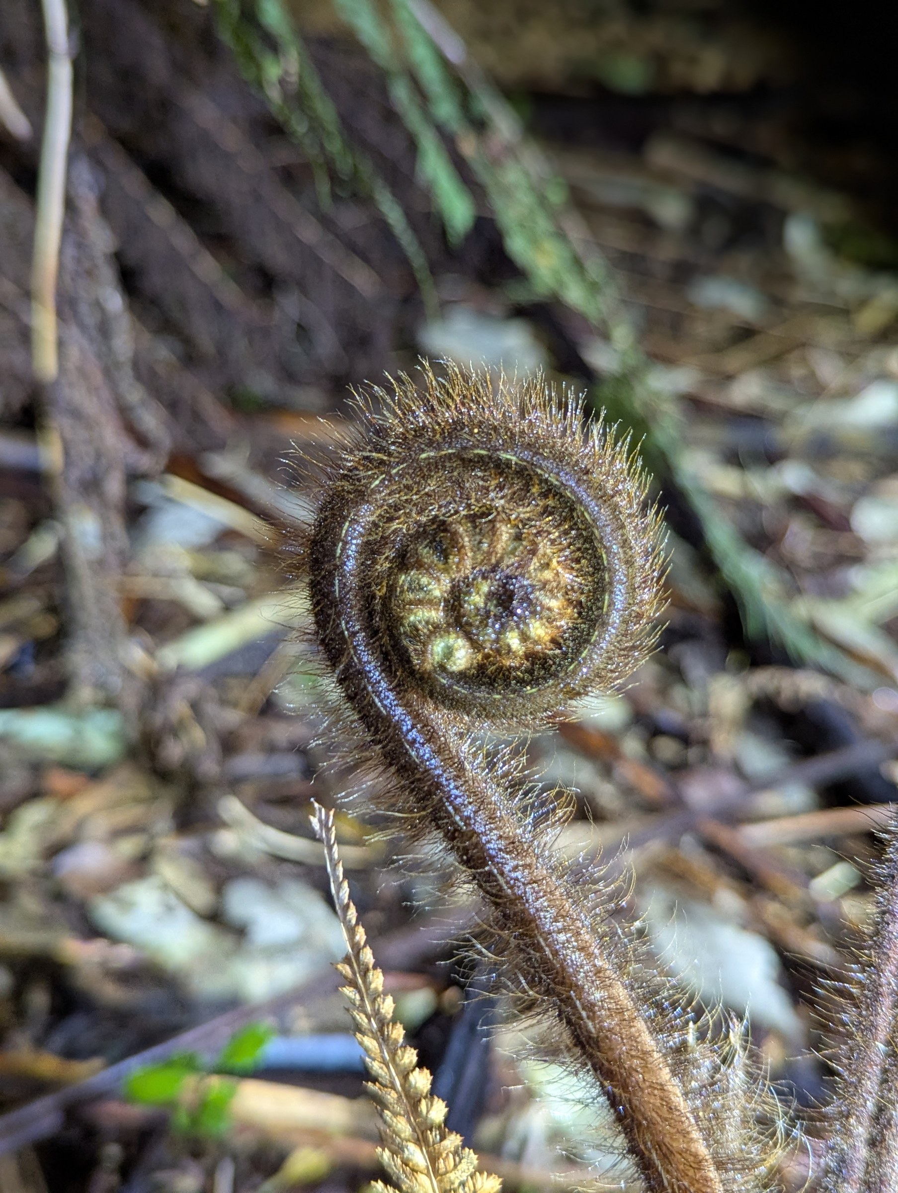 New Zealand · Review photo 9