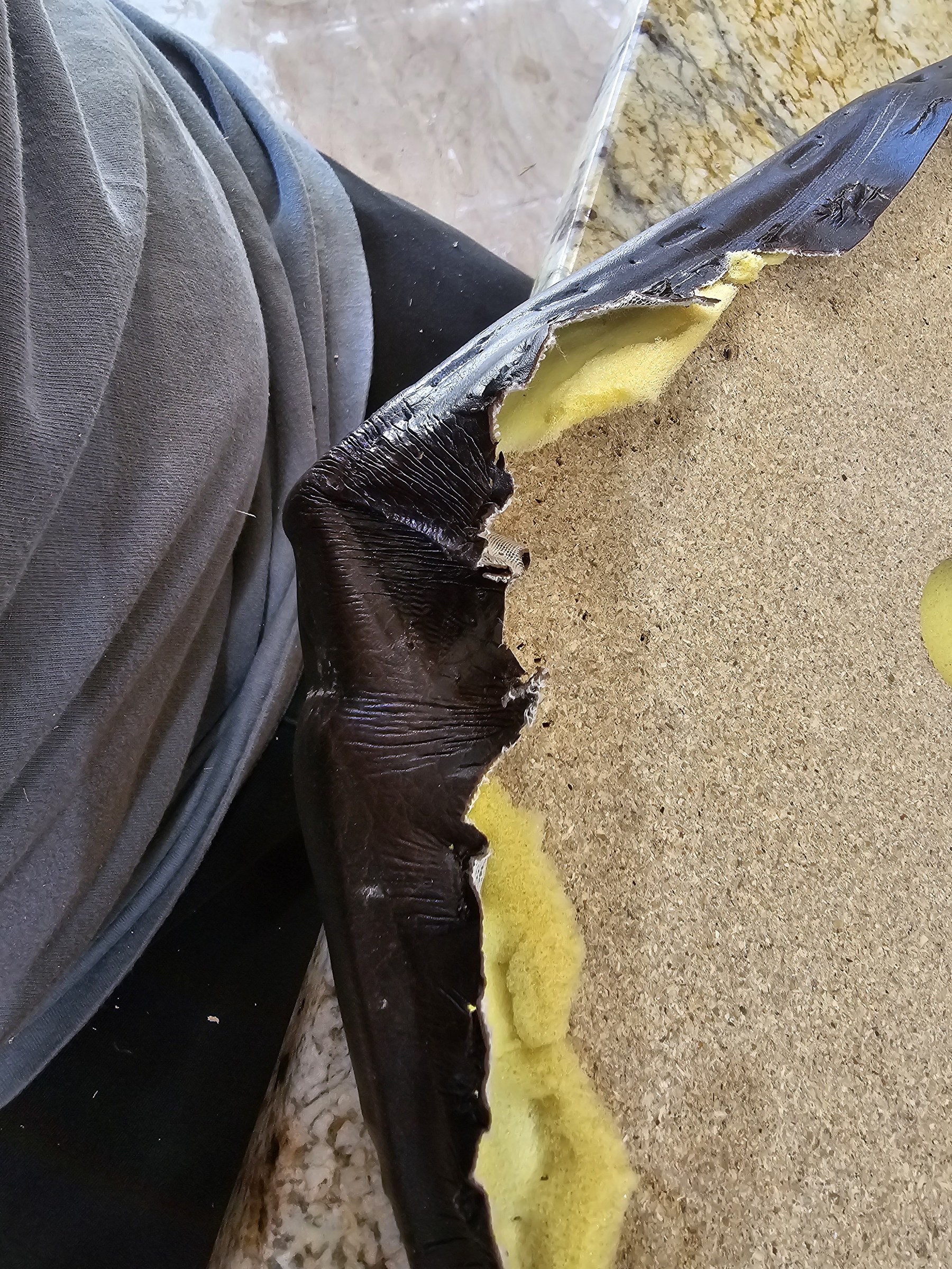 Upholstery · Review photo 15