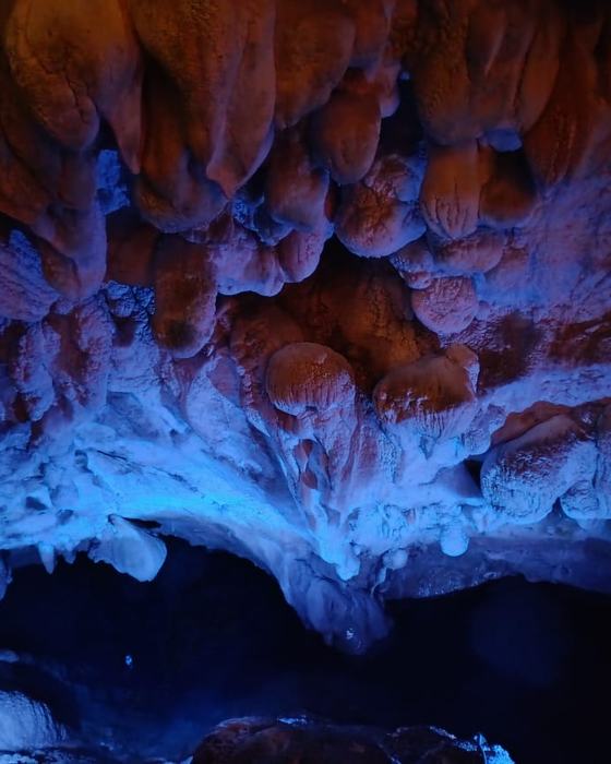 Glow-worms lighting a cave roof, New Zealand
