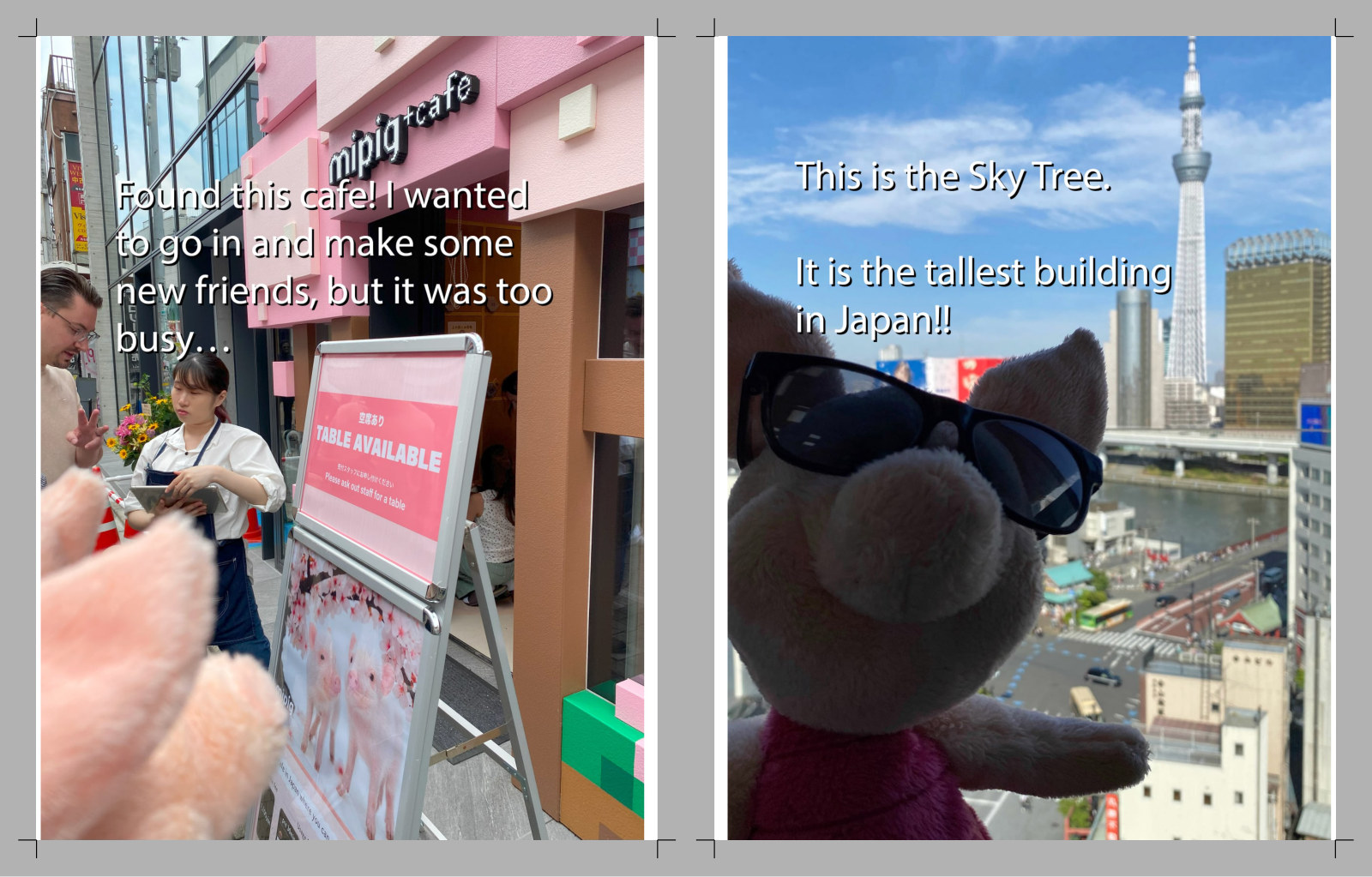 Book page 13