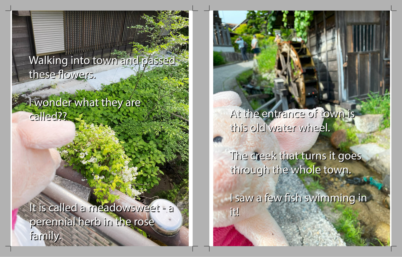 Book page 21